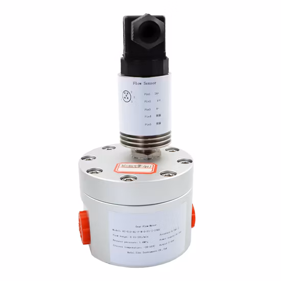 Flussometro resistente agli acidi da 24 V 4